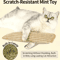 Catnip Scratch Chew Pillow Interactive Cat Scratcher Toy For Claw Care Play 0