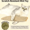 Catnip Scratch Chew Pillow Interactive Cat Scratcher Toy For Claw Care Play 0