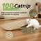 Catnip Scratch Chew Pillow Interactive Cat Scratcher Toy For Claw Care Play 1