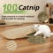 Catnip Scratch Chew Pillow Interactive Cat Scratcher Toy For Claw Care Play 1