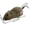 ScurryPaws WindUp Mouse Toy Interactive Plush Chase Toy For Cats Small Dogs 1
