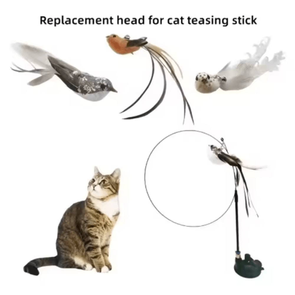 FlutterPounce Suction Cup Cat Teaser Wand Interactive Feather Bird Toy For Indoor Cats 1