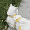 BloomWalk Floral Pet Harness Leash Set Adjustable Breathable Flower Harness For Cats Small Dogs 1