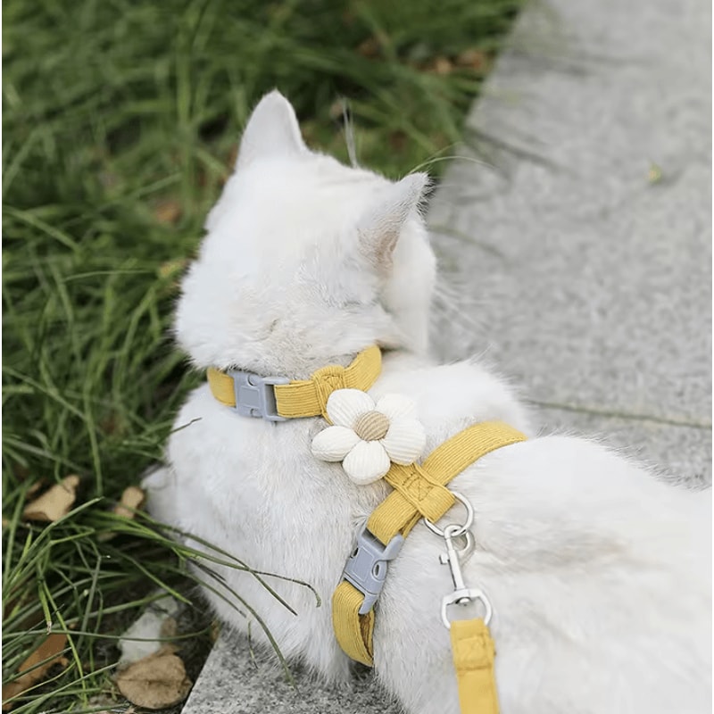 BloomWalk Floral Pet Harness Leash Set Adjustable Breathable Flower Harness For Cats Small Dogs 1
