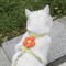 BloomWalk Floral Pet Harness Leash Set Adjustable Breathable Flower Harness For Cats Small Dogs 3