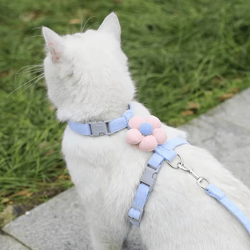 BloomWalk Floral Pet Harness Leash Set Adjustable Breathable Flower Harness For Cats Small Dogs 4
