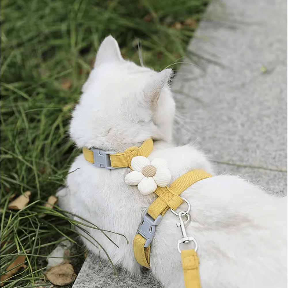 BloomWalk Floral Pet Harness Leash Set Adjustable Breathable Flower Harness For Cats Small Dogs 5