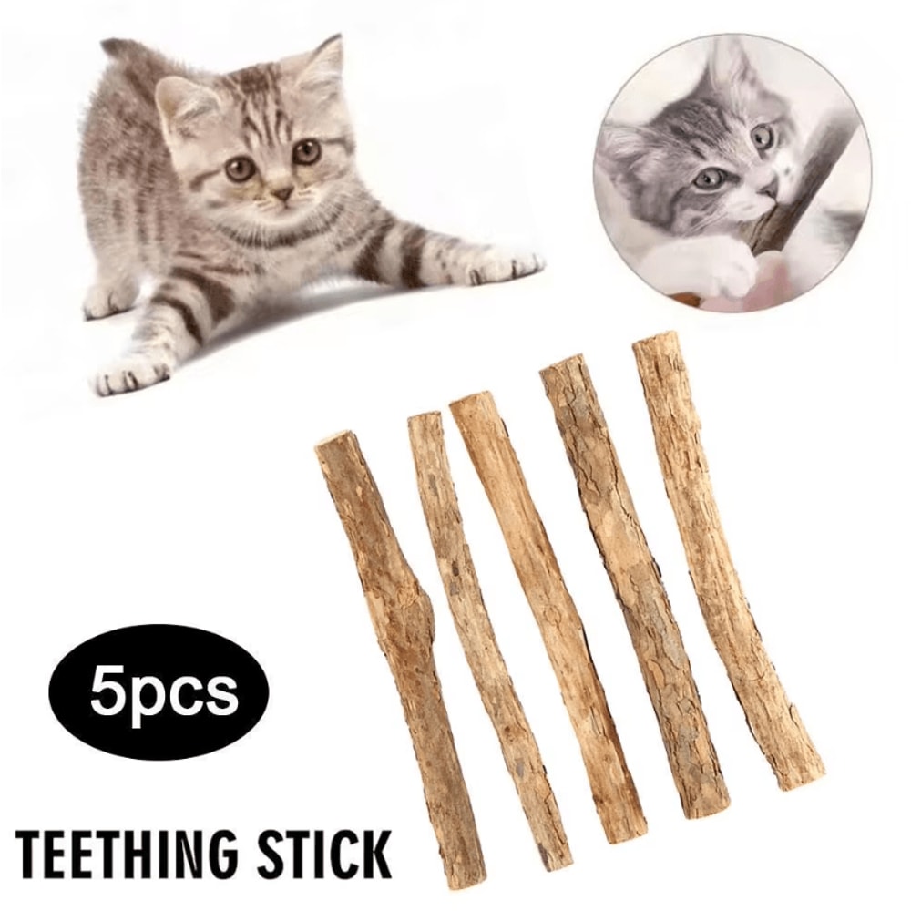 Natural Silvervine Cat Chew Sticks Catnip Sticks For Dental Care Play 0