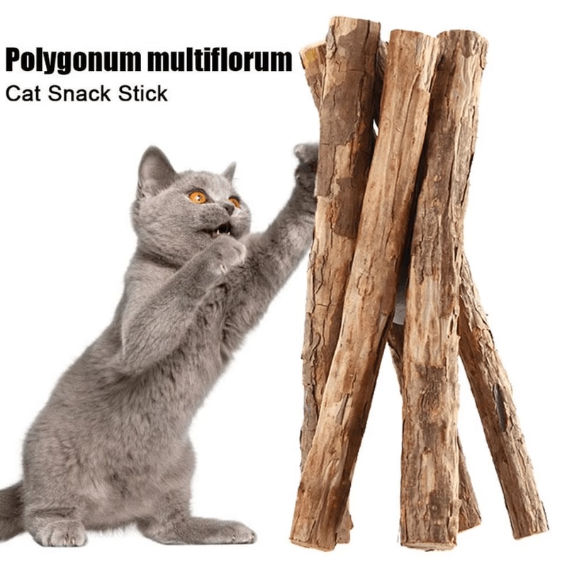 Natural Silvervine Cat Chew Sticks Catnip Sticks For Dental Care Play 1