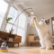 Feather Flutter Cat Wand Toy Interactive Cat Feather Toy For Endless Chase Play 0