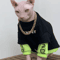 CozyFit Sphynx Cat Sweatshirt Sphynx Cat Clothes For Warmth Comfort Everyday Style 0