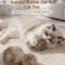 BunnyFur Catnip Ball Set Interactive Catnip Cat Toys For Chasing Pouncing Play 1