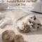 BunnyFur Catnip Ball Set Interactive Catnip Cat Toys For Chasing Pouncing Play 1