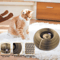 Magic Round Cat Scratching Board With Ball Track Toy 1