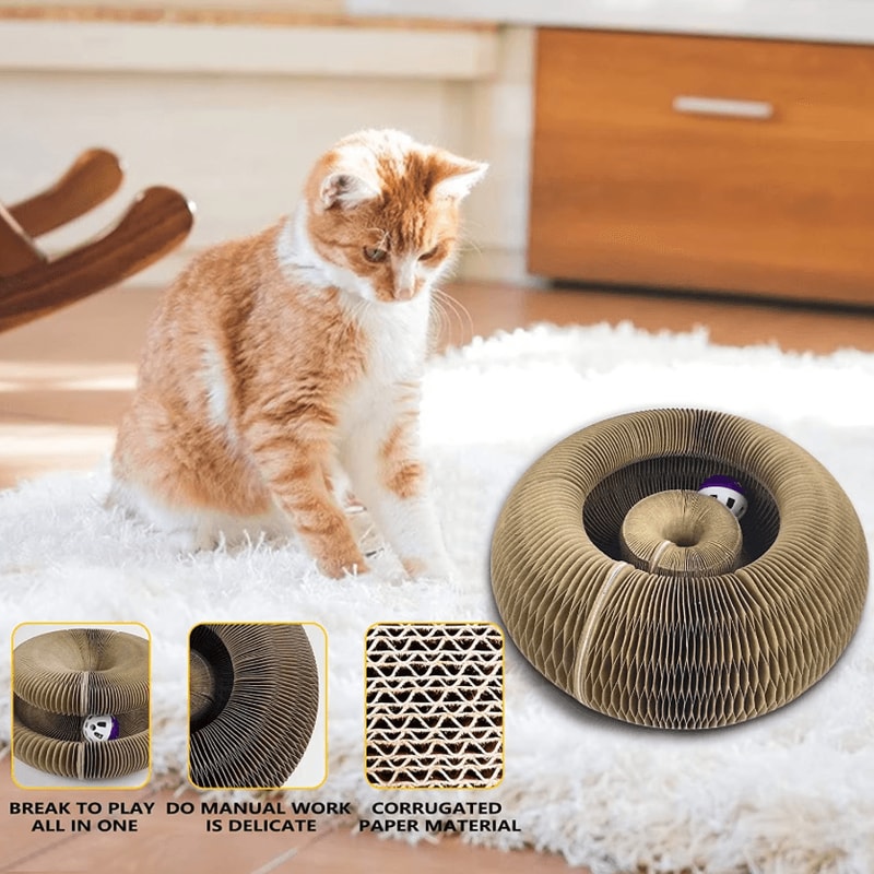 Magic Round Cat Scratching Board With Ball Track Toy 1
