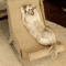 Sisal Wooden Cat Lounge Scratcher Chair For Indoor Cats 2