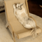 Sisal Wooden Cat Lounge Scratcher Chair For Indoor Cats 2