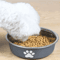 Stainless Steel NonSlip Pet Feeding Bowl For Cats Dogs 2