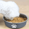 Stainless Steel NonSlip Pet Feeding Bowl For Cats Dogs 2