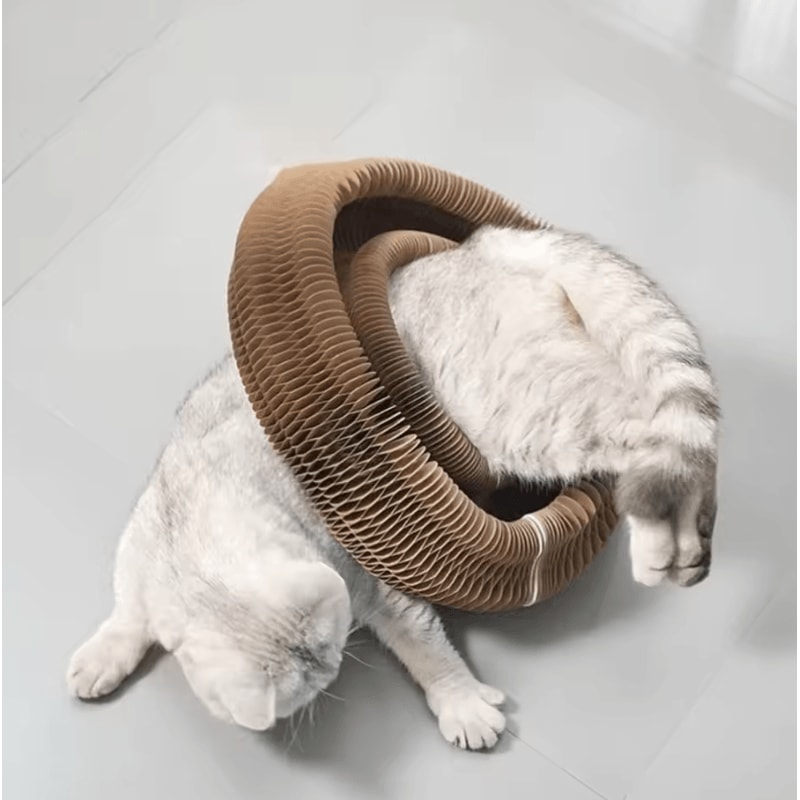 Twistable Cardboard Cat Scratcher Interactive Play Tunnel 3