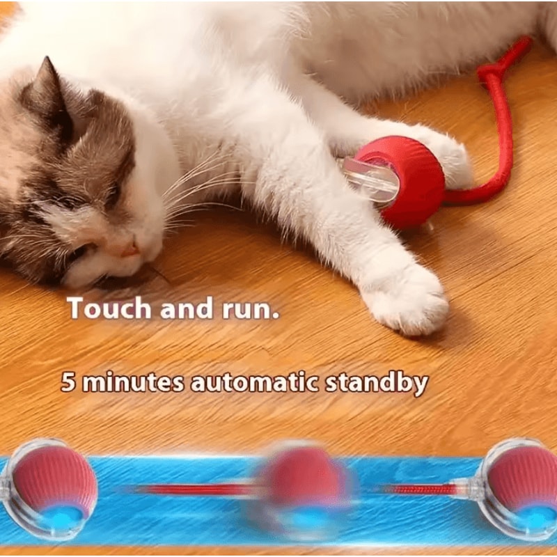 USB Rechargeable Smart Rolling Ball Cat Toy With Tail Teaser 0