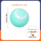 USB Rechargeable Smart Rolling Ball Cat Toy With Tail Teaser 7