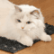 SelfCleaning Cat Grooming Massage Comb 1