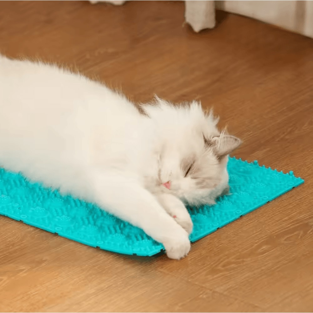 SelfCleaning Cat Grooming Massage Comb 2