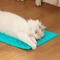 SelfCleaning Cat Grooming Massage Comb 2
