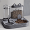 2in1 Automatic Pet Feeder Water Dispenser Station 0