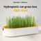 Hydroponic Cat Grass Growing Kit For Cats 0