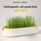 Hydroponic Cat Grass Growing Kit For Cats 0