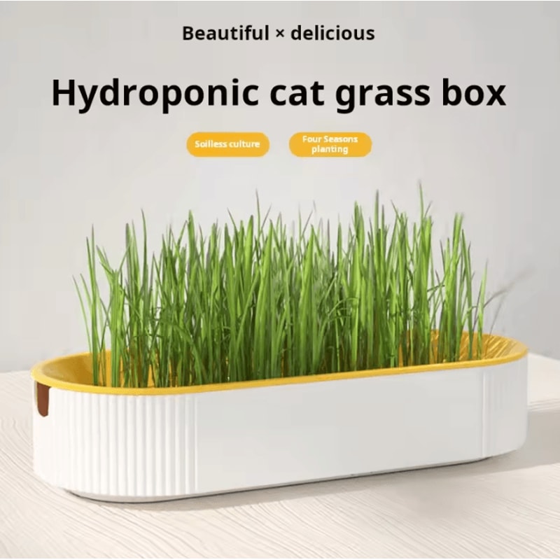 Hydroponic Cat Grass Growing Kit For Cats 0
