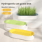 Hydroponic Cat Grass Growing Kit For Cats 1