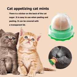 catnip energy ball licking treat for cats