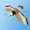 Electric Flying Bird Interactive Cat Toy 4