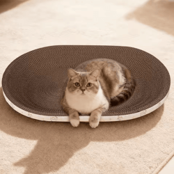 oval corrugated cat scratcher bed & lounge