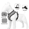 Reflective EscapeProof Cat Harness Leash Set 2