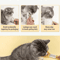 MessFree Cat Treat Squeeze Spoon Feeder 1