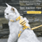 Cartoon Bee Cat Harness Leash Collar Set 0