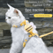 Cartoon Bee Cat Harness Leash Collar Set 0