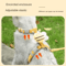 Cartoon Bee Cat Harness Leash Collar Set 2