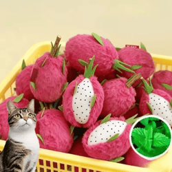 dragon fruit catnip plush chew toy for cats