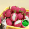 Dragon Fruit Catnip Plush Chew Toy For Cats 0
