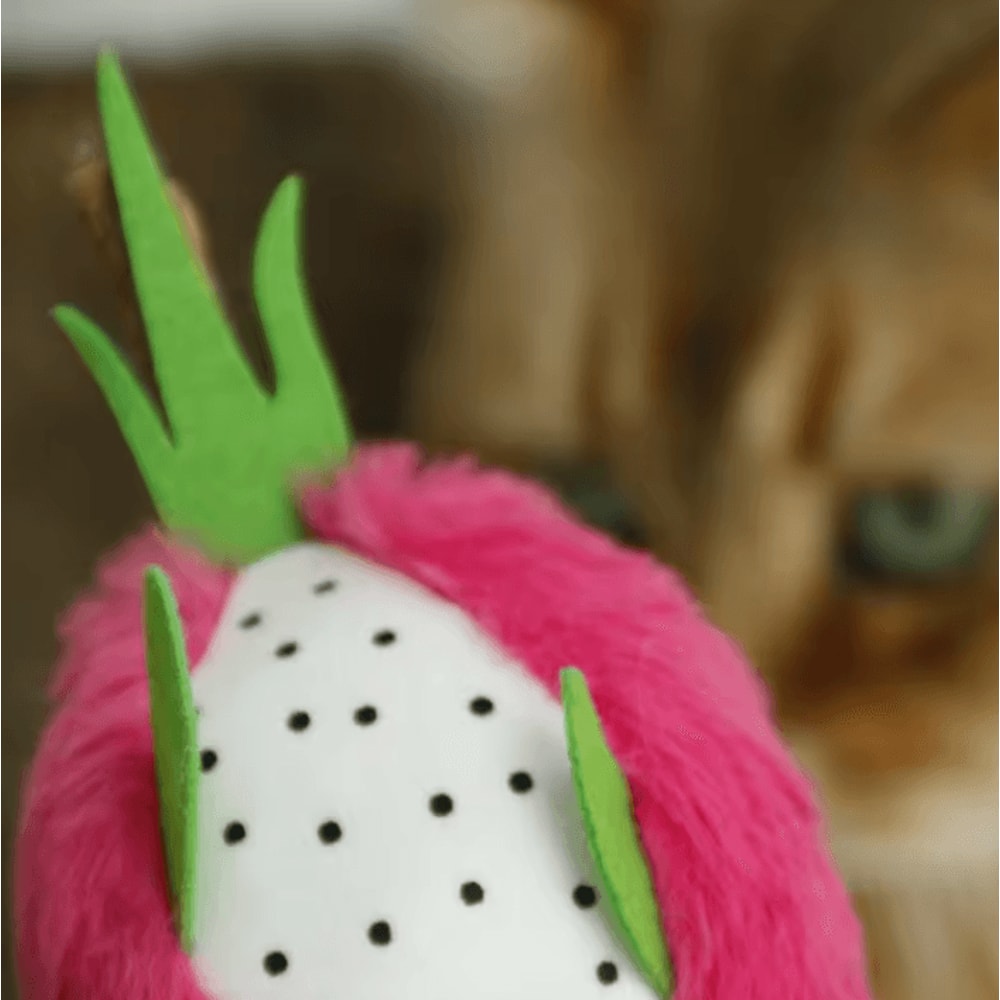 Dragon Fruit Catnip Plush Chew Toy For Cats 1