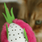 Dragon Fruit Catnip Plush Chew Toy For Cats 1