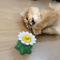 Automatic Rotating Butterfly Bird Interactive Cat Toy 1