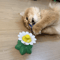 Automatic Rotating Butterfly Bird Interactive Cat Toy 1