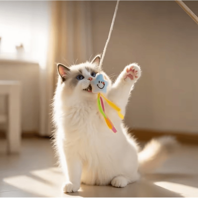 Wooden Bell Teaser Cat Toy For Interactive Play 2