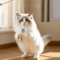 Wooden Bell Teaser Cat Toy For Interactive Play 3